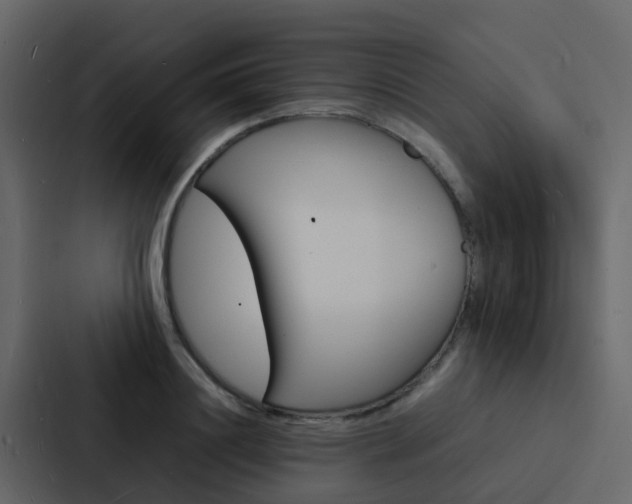 X0000088130844200705140956