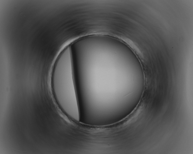 X0000088130846200705140956