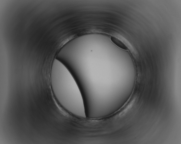 X0000088130849200705140956