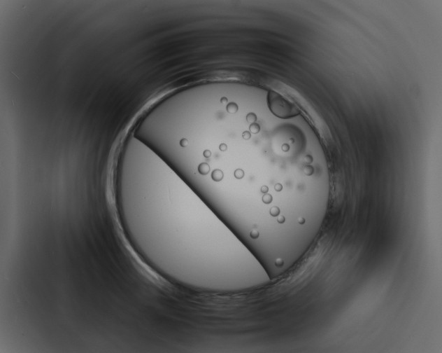 X0000088130851200705140956
