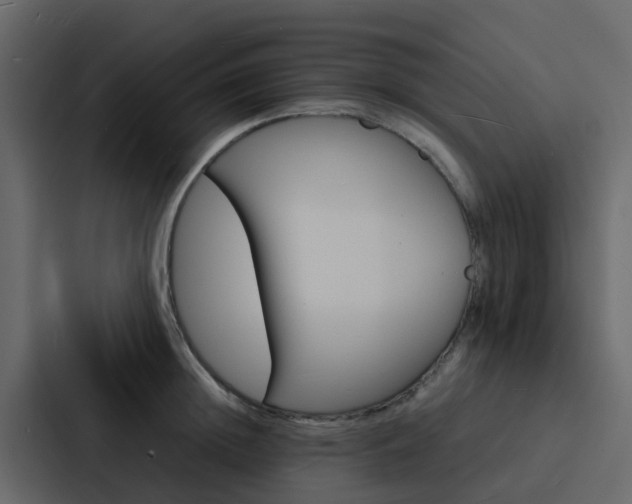 X0000088130852200705140956
