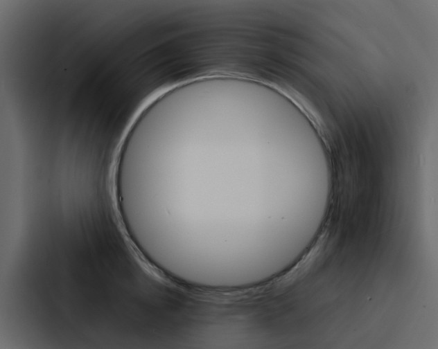 X0000088130854200705140956