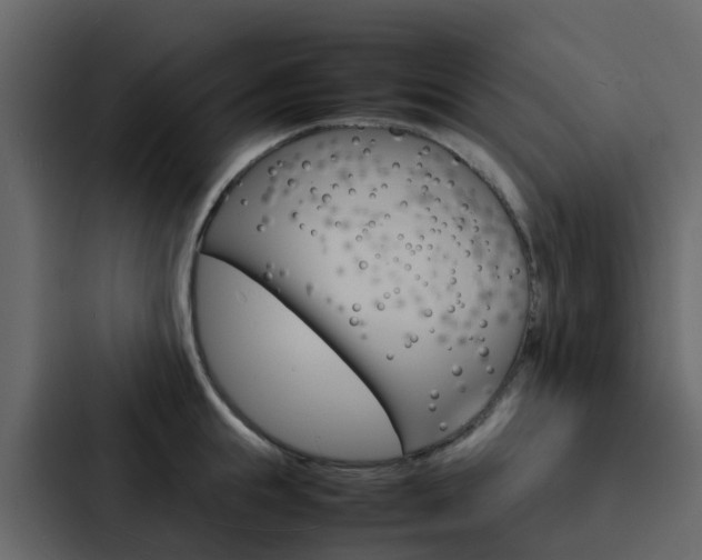 X0000088130855200705140956