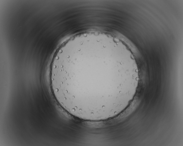 X0000088130856200705140956