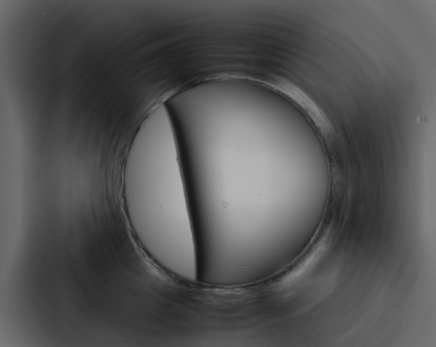 X0000088130857200705140956