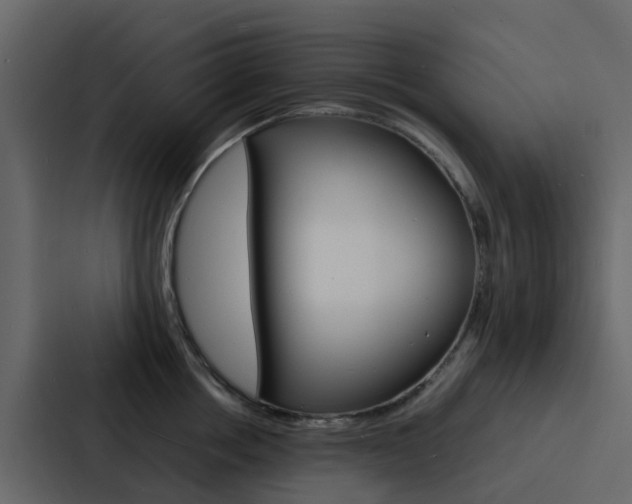 X0000088130858200705140956