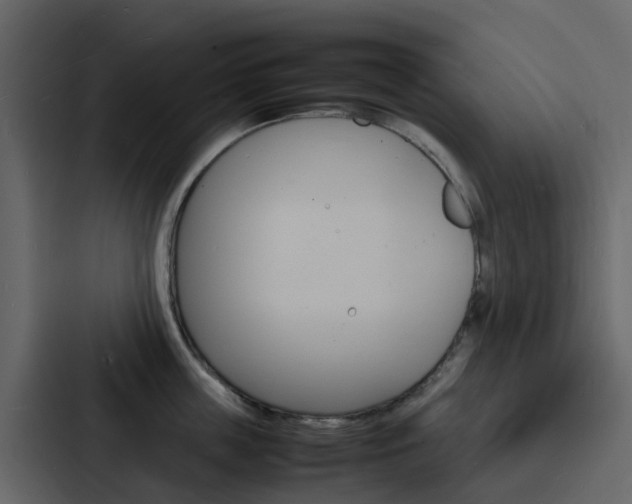 X0000088130859200705140956