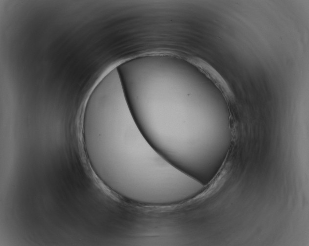 X0000088130860200705140956