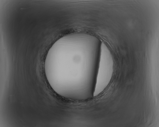 X0000088130865200705140955