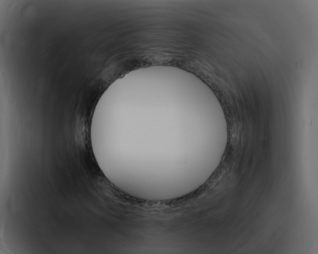 X0000088130866200705140955
