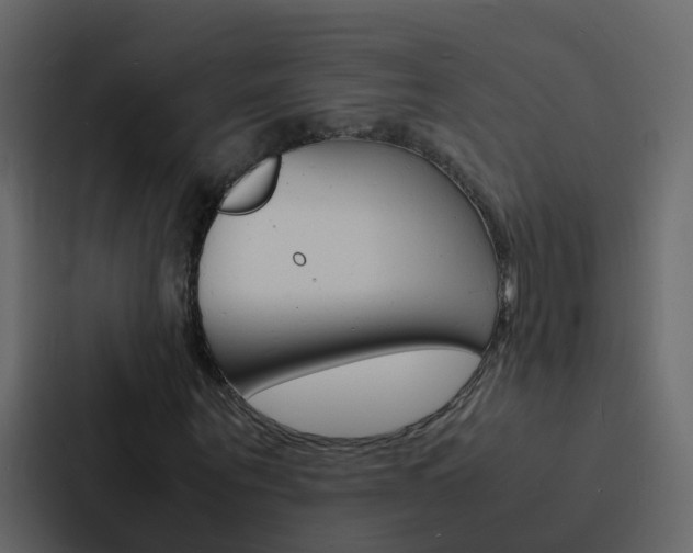 X0000088130867200705140955