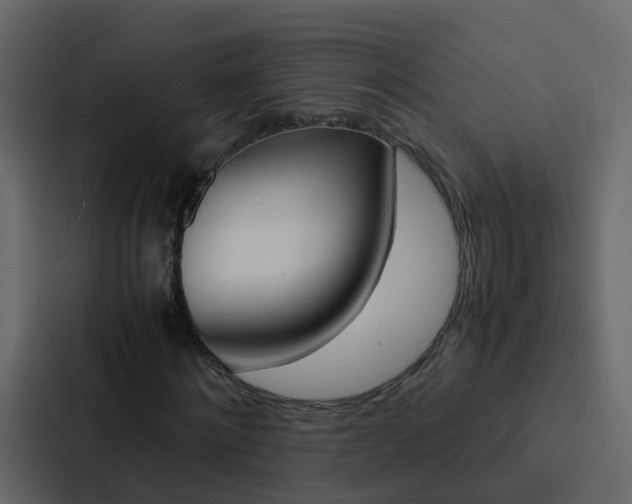 X0000088130868200705140955
