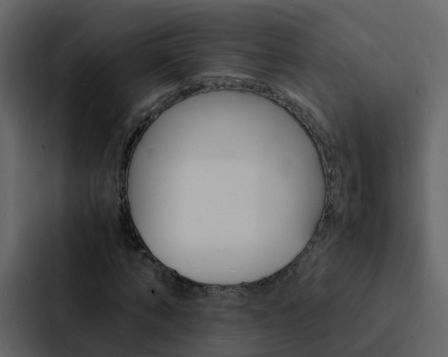 X0000088130870200705140955