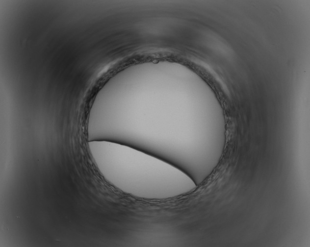 X0000088130871200705140955