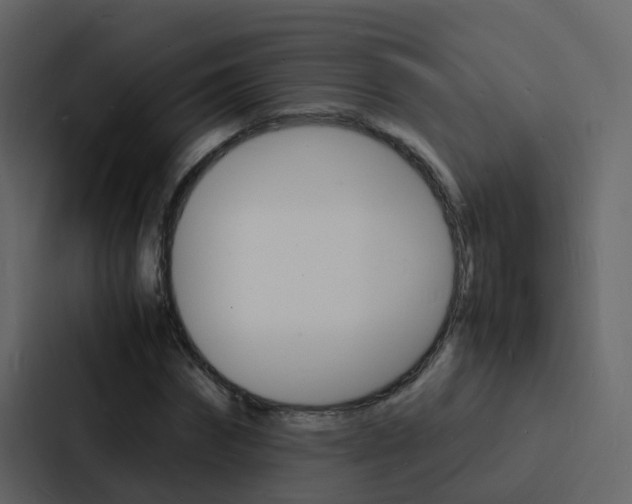 X0000088130874200705140955
