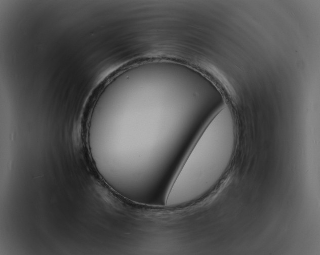 X0000088130876200705140955