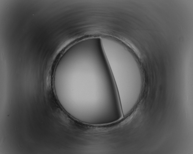 X0000088130877200705140955