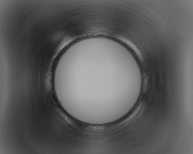 X0000088130878200705140955