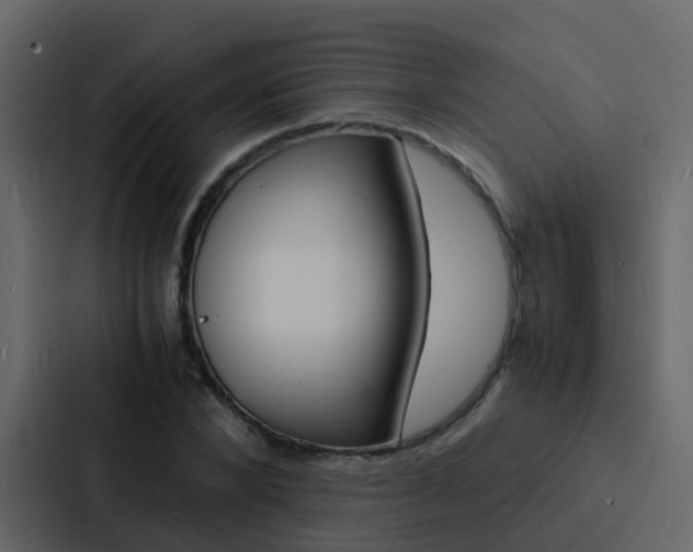X0000088130880200705140955