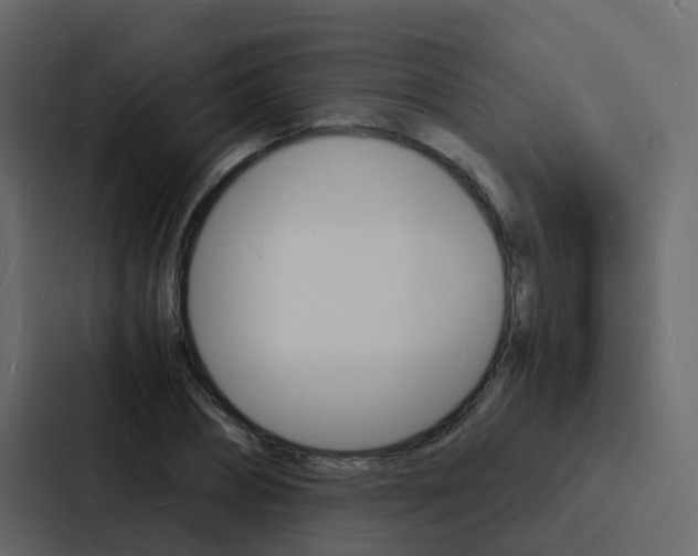 X0000088130882200705140955