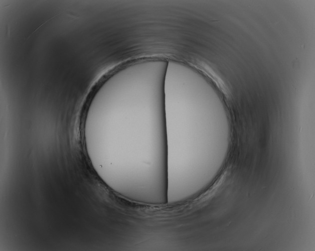 X0000088130883200705140955