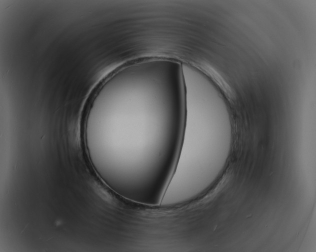 X0000088130884200705140955