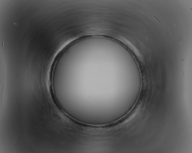 X0000088130885200705140955