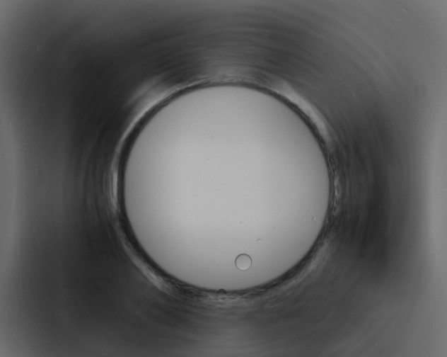 X0000088130886200705140955