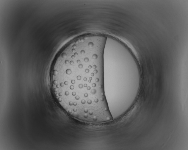 X0000088130887200705140955