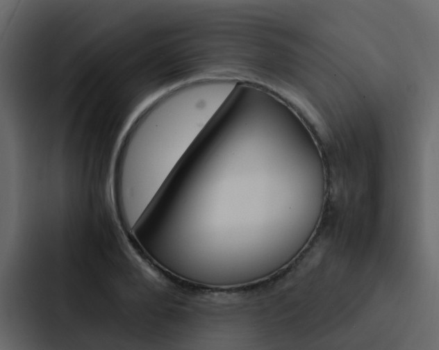 X0000088130888200705140955