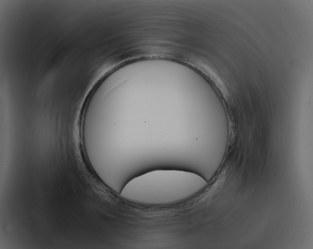 X0000088130891200705140955
