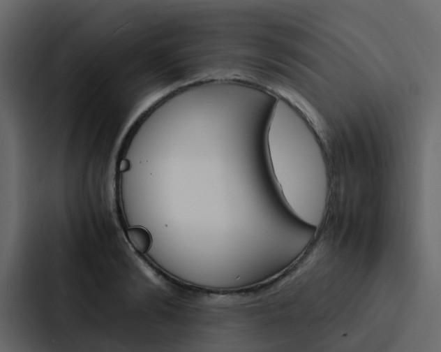 X0000088130894200705140955