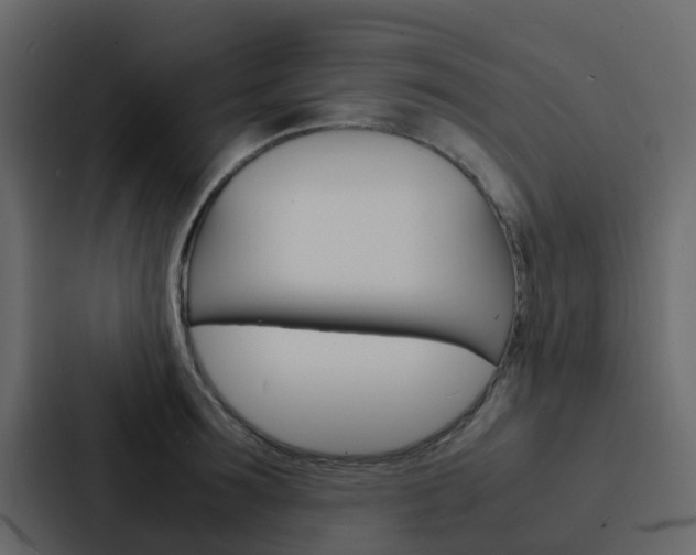 X0000088130899200705140955