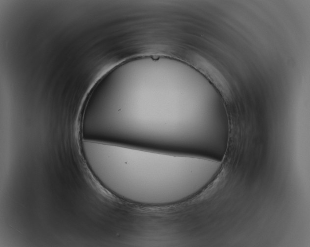 X0000088130900200705140955