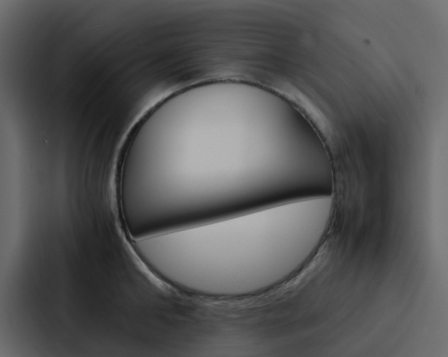 X0000088130902200705140955