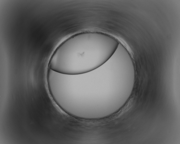X0000088130903200705140955