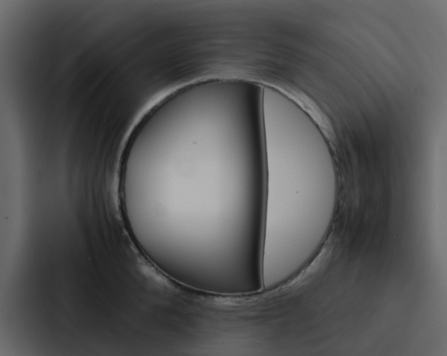 X0000088130904200705140955