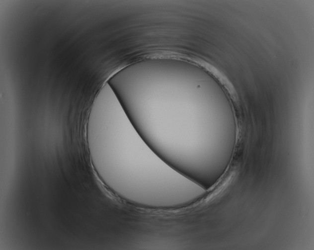 X0000088130905200705140955