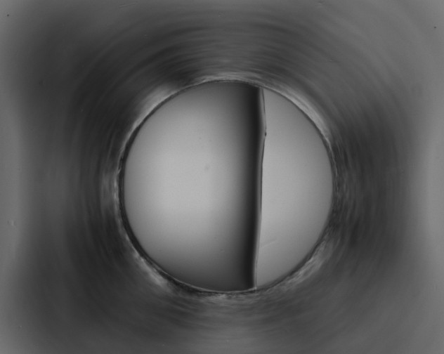 X0000088130906200705140955