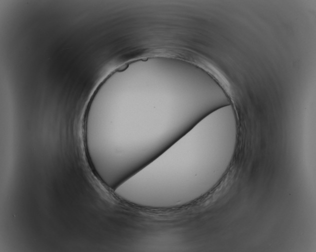 X0000088130907200705140955