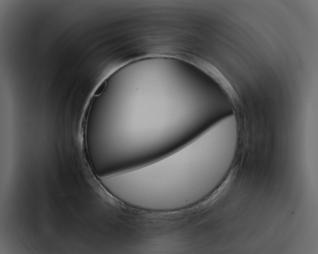 X0000088130908200705140955