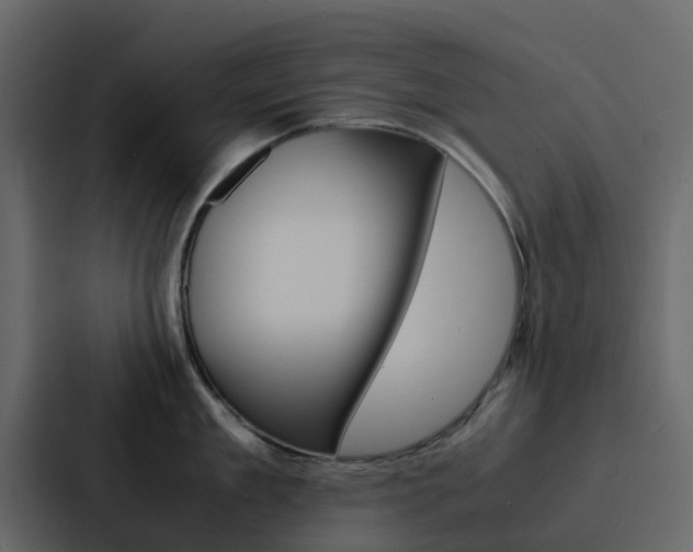 X0000088130909200705140954