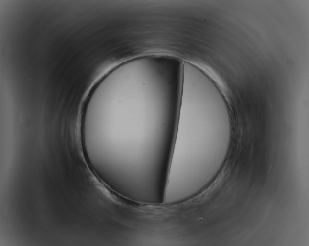 X0000088130910200705140954