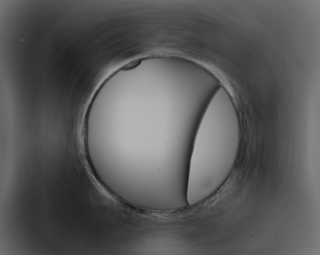 X0000088130911200705140954