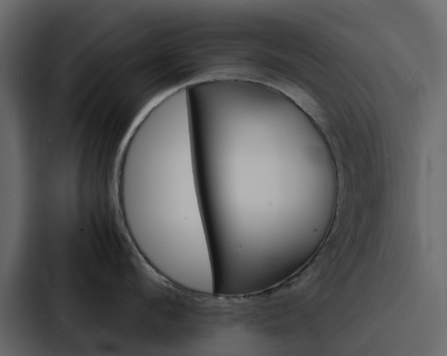 X0000088130912200705140954