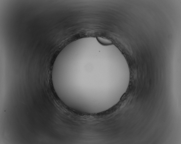 X0000088130914200705140954