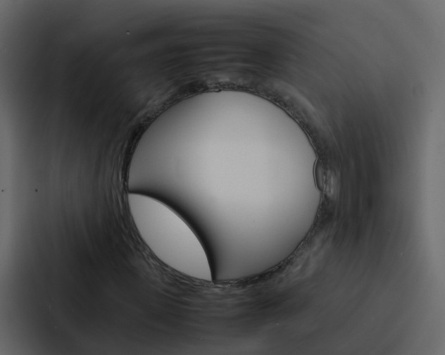 X0000088130915200705140954