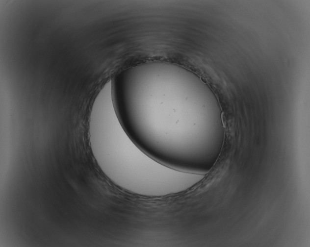 X0000088130916200705140954
