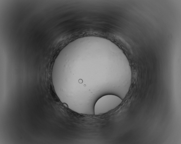 X0000088130917200705140954