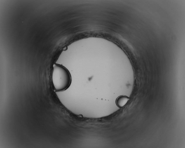 X0000088130918200705140954